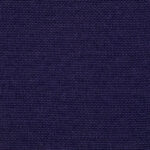 Everlast Viola