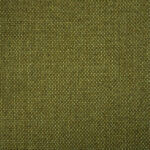 Hudson Scallion