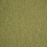 Pashmina Moss