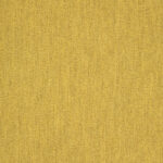 Pashmina Saffron