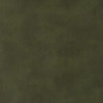 Cardshark Olive