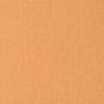 Chips Apricot