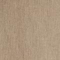 Chips Sandstone