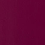 Diamond Fuchsia
