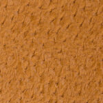 Fremont Apricot