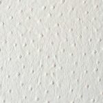 Fremont White