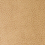 Full House Buckskin