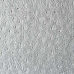 Fremont Silver