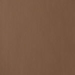 Klondike Taupe
