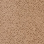 Marquee Buck Skin