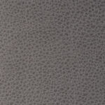 Marquee Nickel
