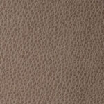 Marquee Oak