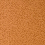 Marquee Terra Cotta