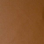 Paradise French Roast