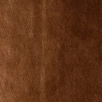 Sedona Bronze