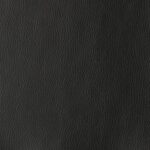 Thunderbird Black