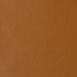 Thunderbird Goldenbrown