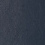 Thunderbird Navy