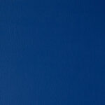 Wild Card Cobalt